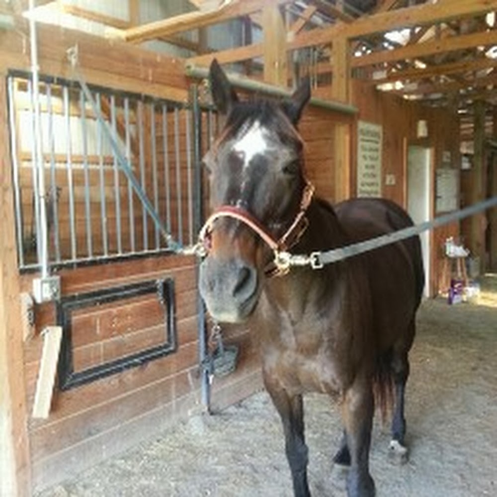 Meet your Posher, Laurie